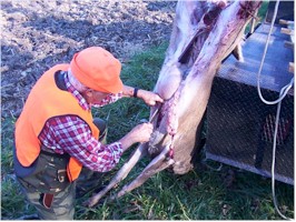 Don't nick the gut, Double E!