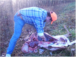 Speak-up if you want me to save the liver!