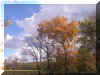 Fall Colors.jpg (114691 bytes)